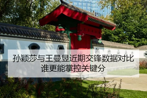 孙颖莎与王曼昱近期交锋数据对比 谁更能掌控关键分